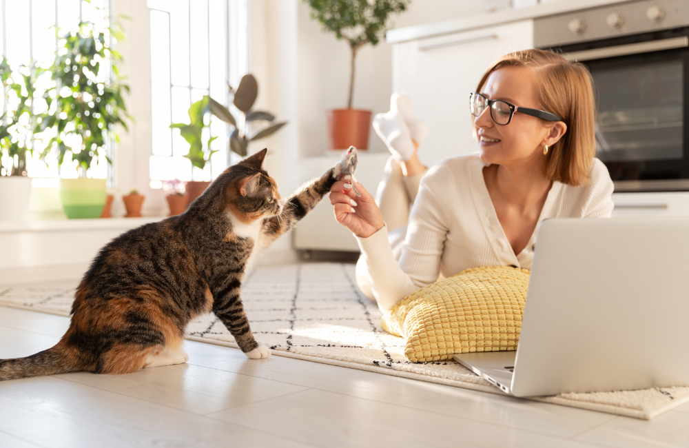 ทํางานแบบ WFH คืออะไร